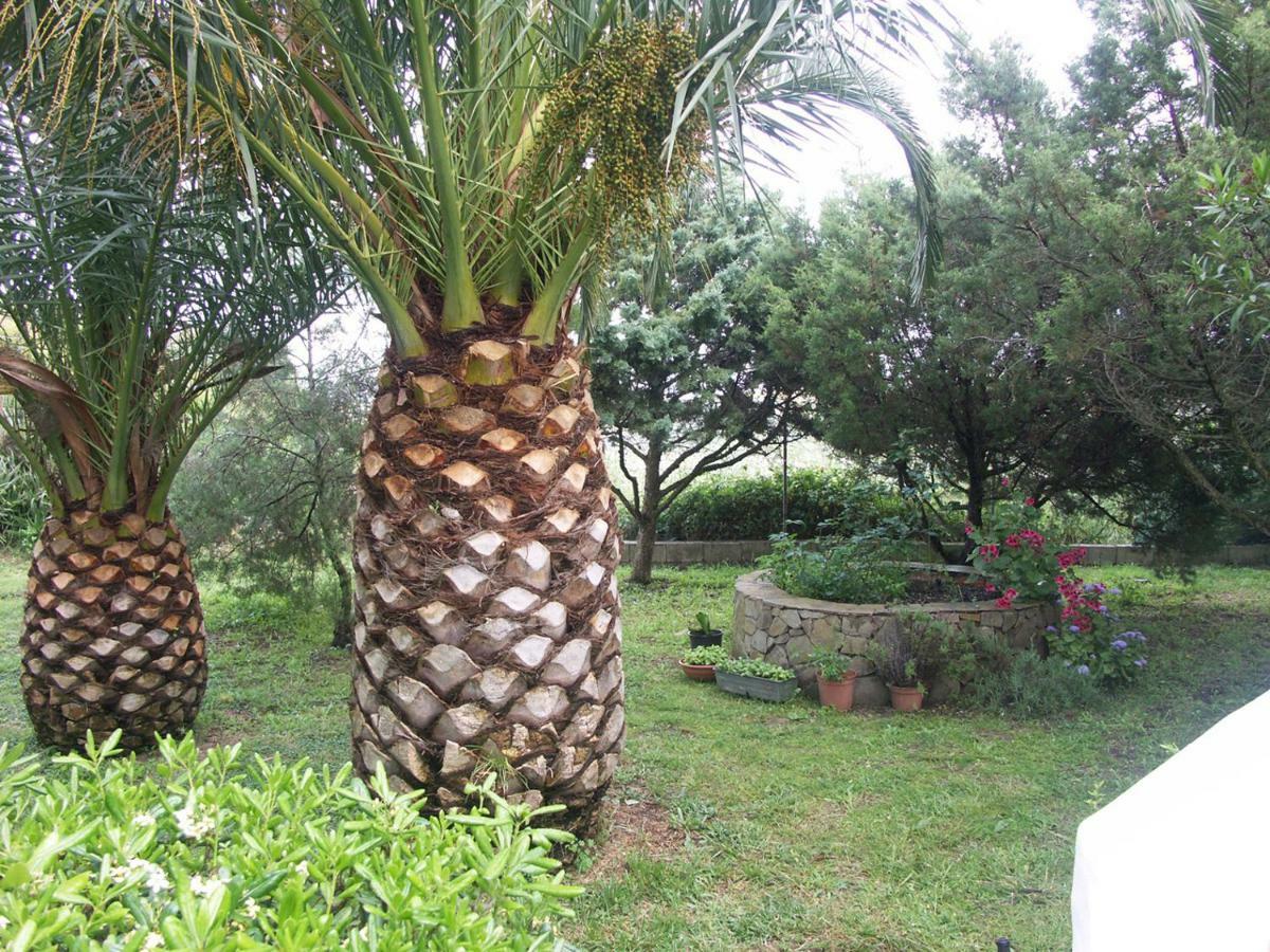 Apartamento Locanda del Pescatore Palmadula Exterior foto