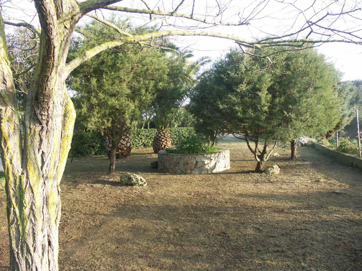 Apartamento Locanda del Pescatore Palmadula Exterior foto