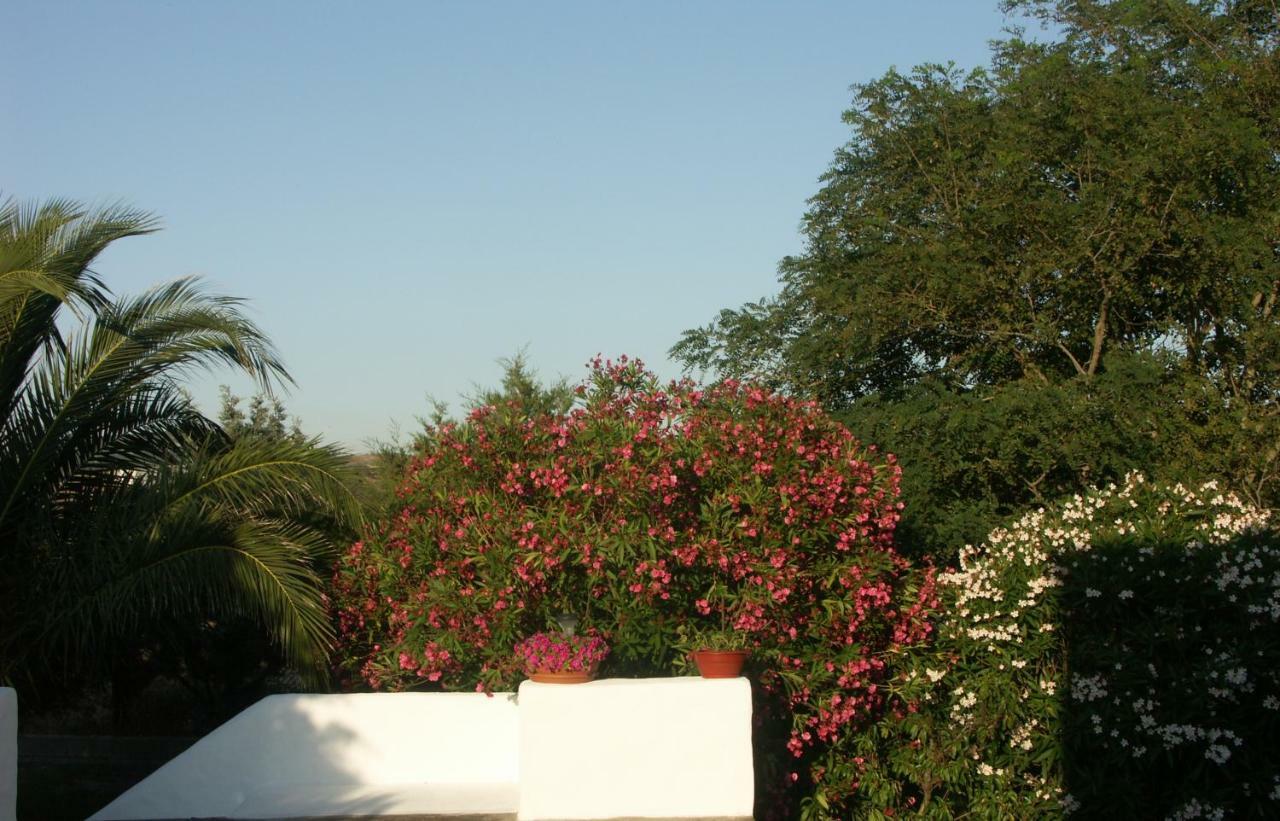 Apartamento Locanda del Pescatore Palmadula Exterior foto